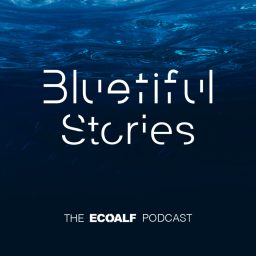 Artwork for Ecoalf | Bluetiful Stories