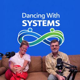 Artwork for Dancing with Systems