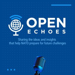 Artwork for OPEN Echoes