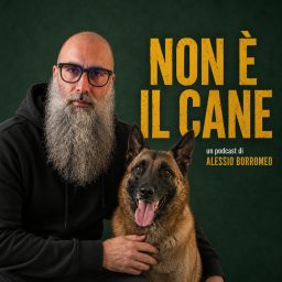 Artwork for NON È IL CANE