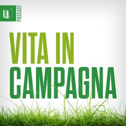 Artwork for Vita in Campagna