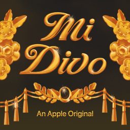 Artwork for Mi Divo