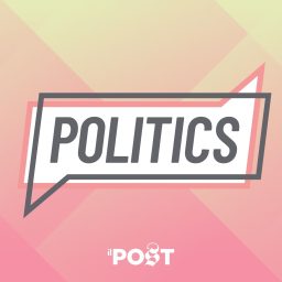 Artwork for Politics