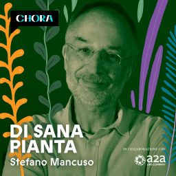 Artwork for Di sana pianta