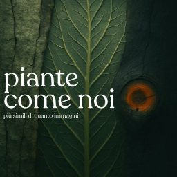 Artwork for Piante come noi