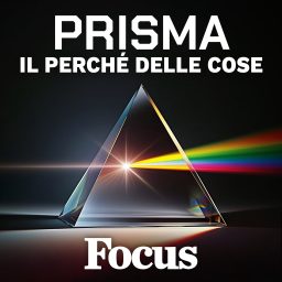 Artwork for Focus Prisma - Il perché delle cose