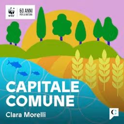 Artwork for Capitale comune