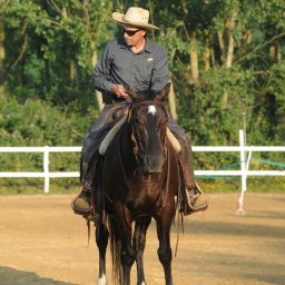 Artwork for Matteoni Horsemanship