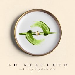 Artwork for Lo stellato