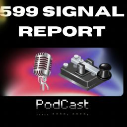 Artwork for The 599 Signal Report