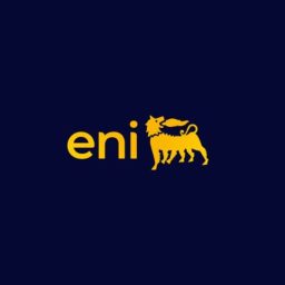 Artwork for Eniday