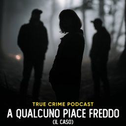 Artwork for A qualcuno piace freddo (il caso)