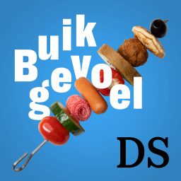 Artwork for Buikgevoel