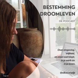 Artwork for Bestemming Droomleven