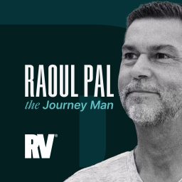 Artwork for Raoul Pal: The Journey Man