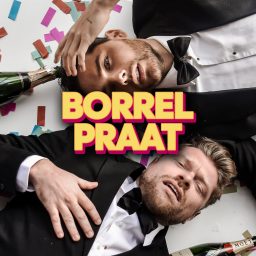Artwork for Borrelpraat