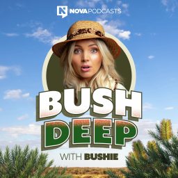 Artwork for Bush Deep