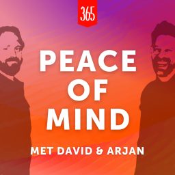 Artwork for Peace of Mind