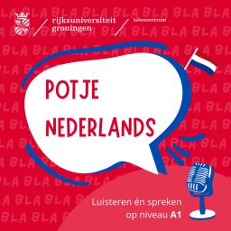 Artwork for Potje Nederlands