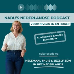 Artwork for Nabu's Nederlandse podcast