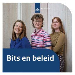 Artwork for Bits en beleid