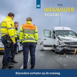 Artwork for Wegwijzer