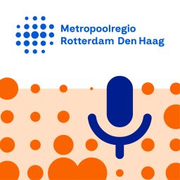 Artwork for De Metropoolregio Podcast