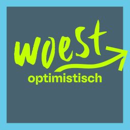 Artwork for Woest Optimistisch