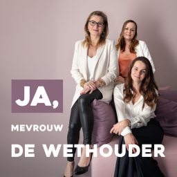 Artwork for Ja, mevrouw de wethouder