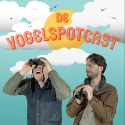 Artwork for De Vogelspotcast