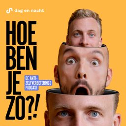 Artwork for Hoe ben je zo?!