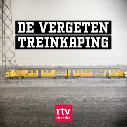 Artwork for De vergeten treinkaping