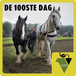 Artwork for De 100ste Dag