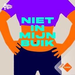Artwork for Niet In Mijn Buik