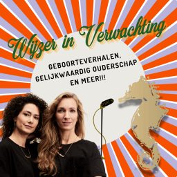 Artwork for Wijzer in Verwachting