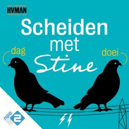 Artwork for Scheiden met Stine