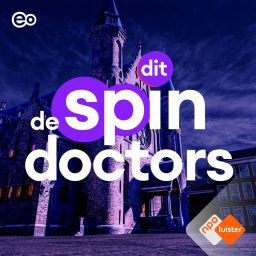 Artwork for De Spindoctors