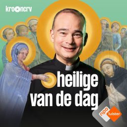 Artwork for Heilige van de Dag