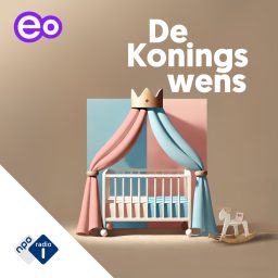Artwork for De Koningswens
