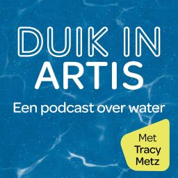 Artwork for Duik in ARTIS