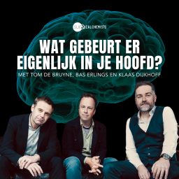 Artwork for Wat gebeurt er eigenlijk in je hoofd?
