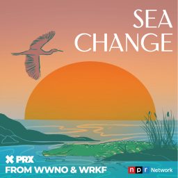 Artwork for Sea Change
