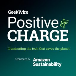 Artwork for Positive Charge by GeekWire