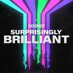 Artwork for Surprisingly Brilliant