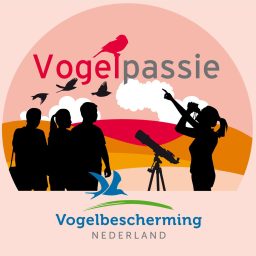 Artwork for Vogelpassie