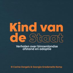 Artwork for Kind van de Staat