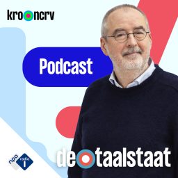 Artwork for De Taalstaat