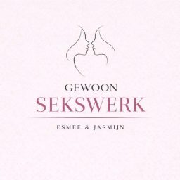 Artwork for Gewoon Sekswerk