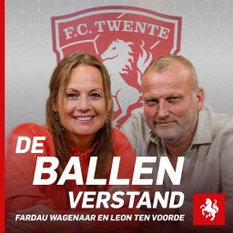 Artwork for De Ballen Verstand