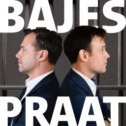 Artwork for Bajespraat